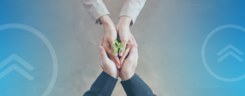 Two sets of hands together holding a sprout